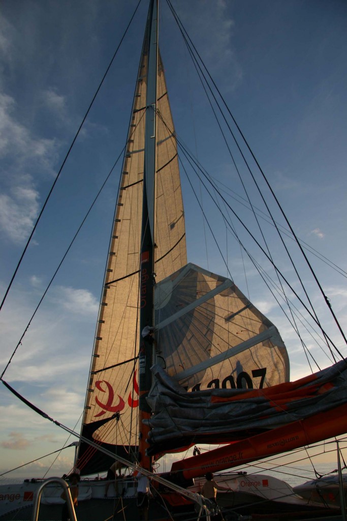 TJV_COURSES_Orange2_18