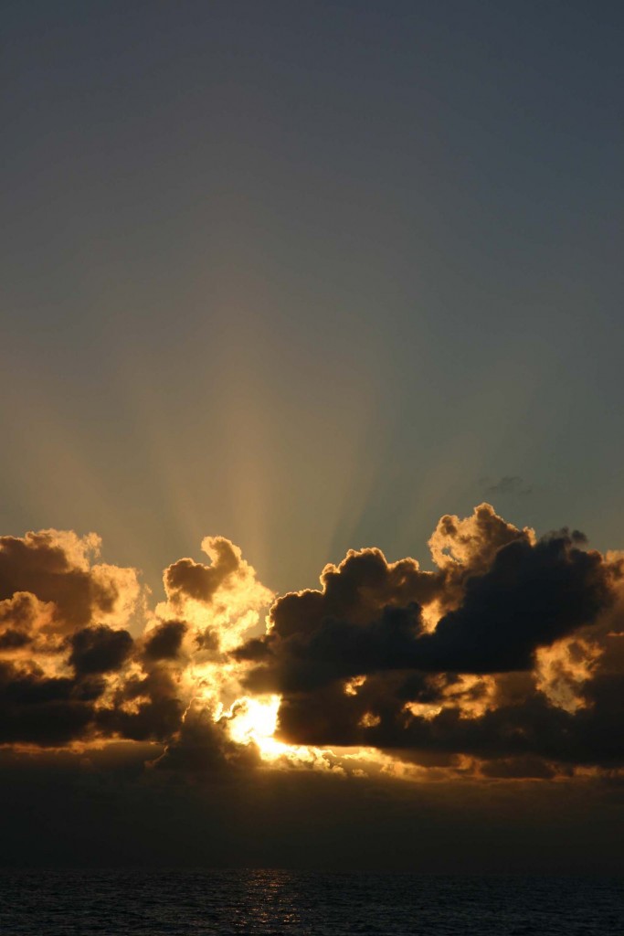 TJV_COURSES_Orange2_19